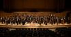 The Royal Philharmonic Orchestra